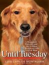Cover image for Until Tuesday